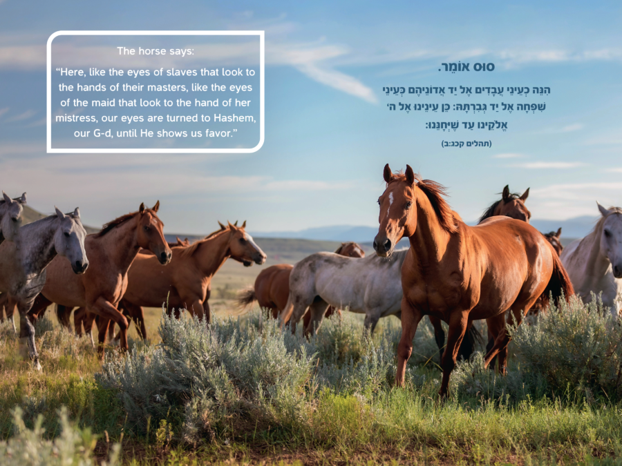 Perek Shira Horses Book The Jewish Center for Science