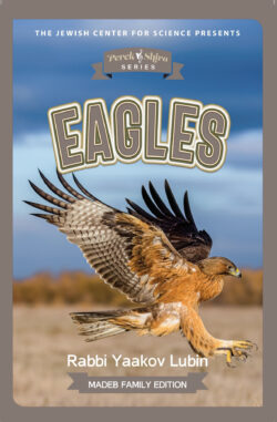 Perek Shira Eagles Book