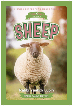 Perek Shira Sheep Book